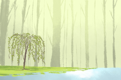 五行缺火適合長發(fā)還是短發(fā)?(圖文)