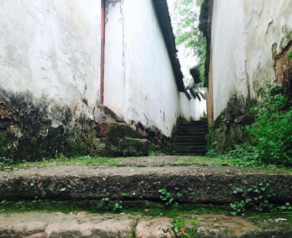 女人夢見小偷進家里是什么意思 夢見小偷進家里預兆什么