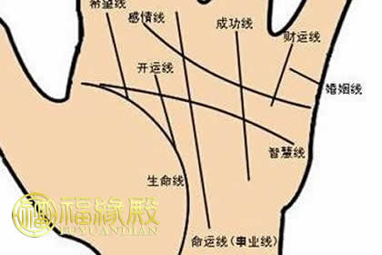 命運線和太陽線是同一個嗎(圖文)