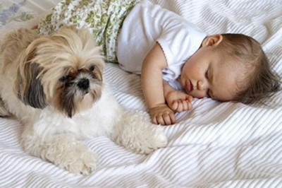 2019年農歷十一月廿一日是不是適合求嗣的日子？(圖文)