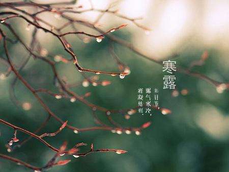 2019年寒露農(nóng)歷九月初十不能出遠(yuǎn)門嗎,寒露養(yǎng)生吃什么好?(圖文)