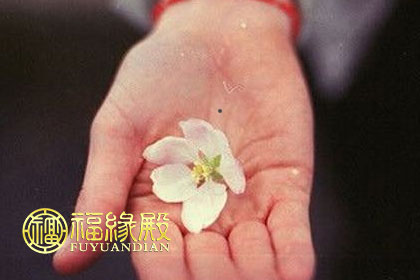 掌心突然有痣預(yù)示著什么(圖文)