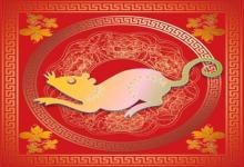 屬鼠幾月結(jié)婚優(yōu)秀,屬鼠結(jié)婚大利月