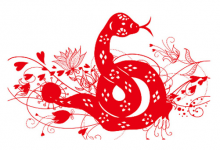 2001屬蛇的40歲以后命運如何