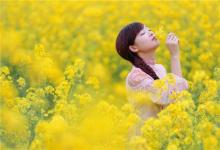 1967年屬羊人一生運氣