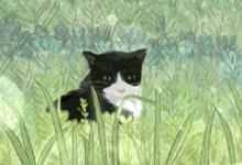 占星術語說-星盤推運怎么看