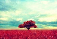 2019年農歷十一月不適合開業的日子一覽表!