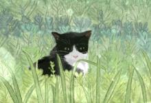 占星術語說-行星逆行的作用與影響