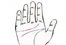 手相生命線應該如何看呢