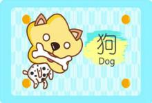 2006屬狗的適合住什么樓層