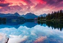 一九七七年屬蛇的貴人生肖是什么？12019年運(yùn)勢運(yùn)程如何？