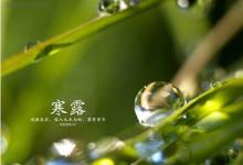 2019年10月8日寒露黃歷不能做什么,寒露氣溫分布差異大嗎?