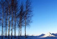 2019年陰歷十月廿六小雪遷墳好嗎,小雪節氣反應的是降水量嗎?