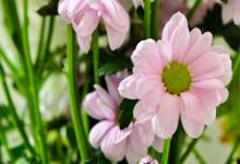 2019年農歷十月初十是安床吉日嗎,搬家安床注意什么?