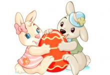 屬兔人做什么行業最旺