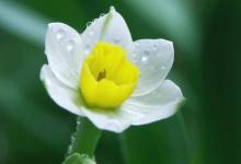 濟緣算命：祁同偉扮演者許亞軍與他的四段婚姻