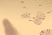 早上兩點(diǎn)多是什么時辰 出生運(yùn)勢好嗎