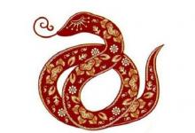 金蛇幾月出生命好