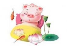 1995年屬豬人2020年運勢女性95豬女今年每月運勢