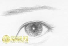 球迷杏眼是什么