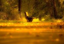 2019年處暑出生小孩萌萌三個字乳名取名推薦!