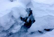 2019年農歷十一月二十六冬至前一天適合祭祀祭祖嗎?