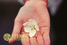 掌心突然有痣預示著什么