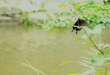 2019年農(nóng)歷十月結(jié)婚要避開的日子有哪些?