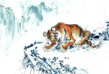 1998年屬虎人2020年運勢女性 98虎女今年每月運勢