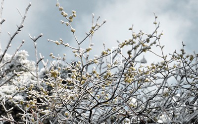 2019年陰歷十二月廿七日是黃道吉日嗎？(圖文)