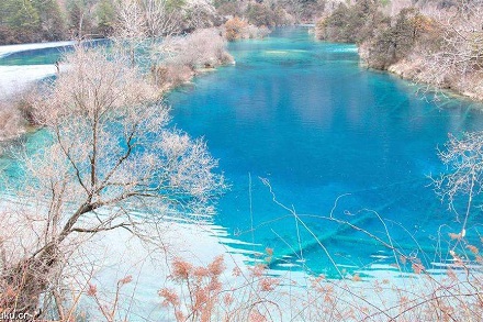 生肖雞的貴人屬相是什么生肖?屬雞的人一生命運如何?(圖文)