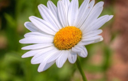 2019年農歷十二月十五不宜出殯嗎,1月9日時辰吉兇查詢!(圖文)