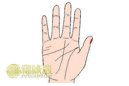 手相婚姻線大全圖解(圖文)