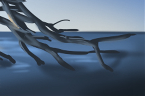 小耳朵的男生(圖文)