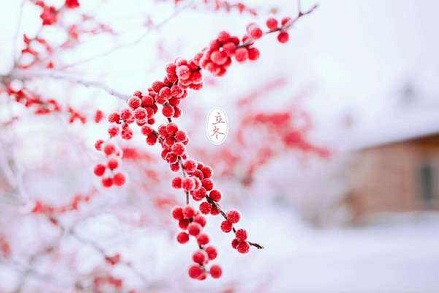 2019年立冬節(jié)氣出生唯美有氣質(zhì)的女孩起名寶典(圖文)