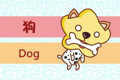 馬狗屬相合嗎 是相合的一對(圖文)