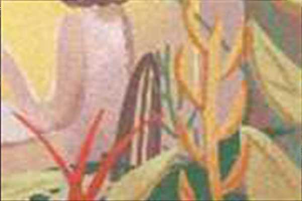 看完一本書會做總結的面相(圖文)