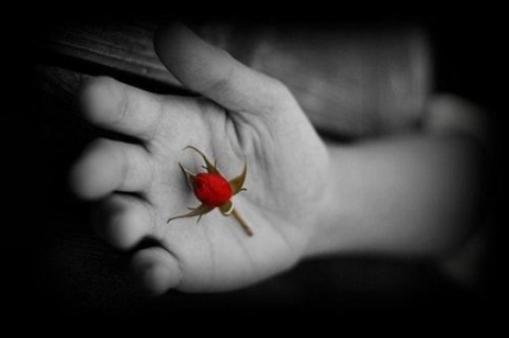 什么是假川字掌