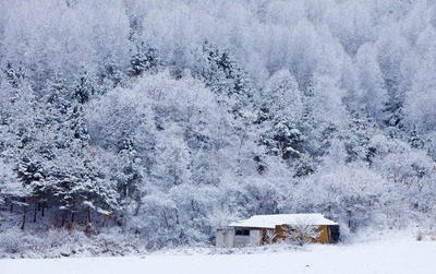 2019年農(nóng)歷十一月二十二日子好嗎可以祭祀祭祖嗎?(圖文)