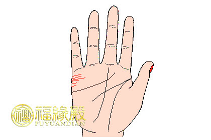 手相婚姻線大全圖解(圖文)