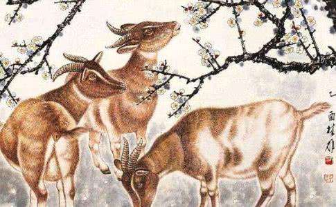 屬羊的午時出生的命運好不好?(圖文)