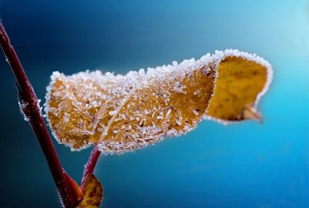 2019年霜降出生寶寶起名帶什么字好？霜降出生寶寶命好嗎？(圖文)