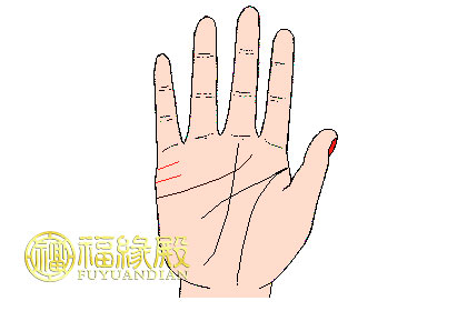 手相婚姻線大全圖解(圖文)