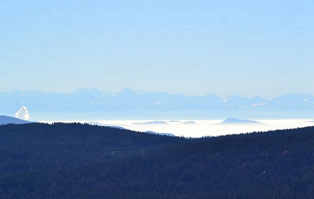 屬豬農歷十一月出生是什么命,12生肖農歷十一月出生命理!(圖文)