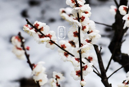 2019年立冬節(jié)氣出生唯美有氣質(zhì)的女孩起名寶典(圖文)