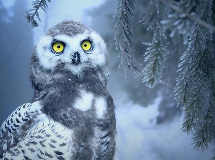 2019年農(nóng)歷十一月二十二出行好嗎,今天適宜出行嗎?(圖文)