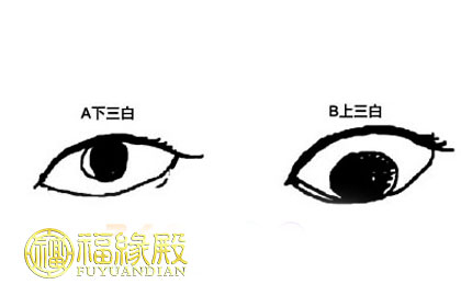 什么是三白眼 三白眼好不好(圖文)