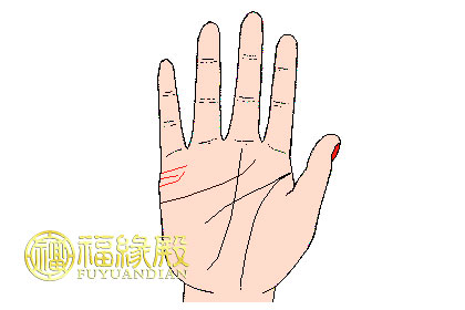手相婚姻線大全圖解(圖文)