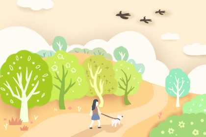 什么植物最招財 店里放什么招財植物(圖文)