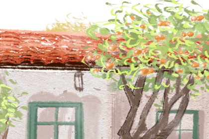 什么生肖今年容易遇到刑太歲(圖文)